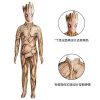 XYYEA Guardians of the Galaxy Groot Bodysuit Cosplay Costume