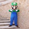 Super Mario Mascot Costume Soft Plush Adult Mario Costume Cosplay Walking Character